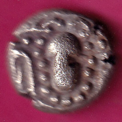 Ancient India Gadhaya Dynasty Kings Portrait :- FA7336