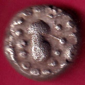 Ancient India Gadhaya Dynasty Kings Portrait billon coin-  FB1512