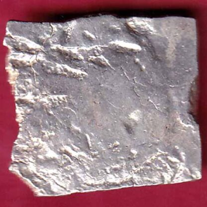 ANCIENT INDIA MAURYAN PERIOD MAGADH DYNASTY ANIMAL STANDING SILVER PUNCHMARK– FB3888 - Image 2