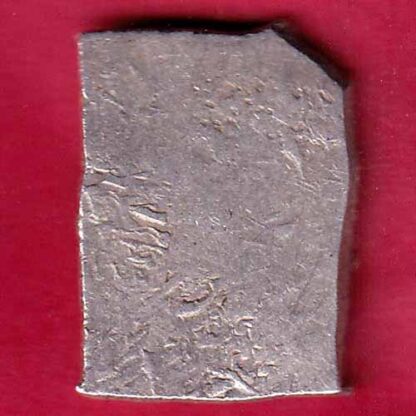 ANCIENT INDIA MAURYAN PERIOD MAGADH DYNASTY ANIMAL STANDING SILVER PUNCHMARK– FB4548 - Image 2