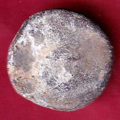 ANCIENT INDIA SATAVAHANA IKSHVAKU DYNASTY LEAD UNIT ELEPHANT STANDING COIN- FB5484 - Image 2