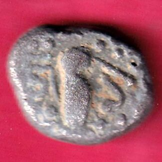 Ancient India Gadhaya Dynasty Kings Portrait  – FB6232