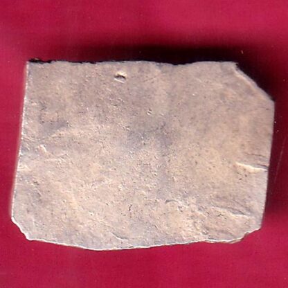 ANCIENT INDIA MAURYAN PERIOD ANIMAL STANDING MAGADH DYNASTY SILVER PUNCHMARK – FB8253 - Image 2