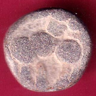 ANCIENT INDIA SATAVAHANA IKSHVAKU DYNASTY LEAD UNIT ELEPHANT STANDING COIN– F1680