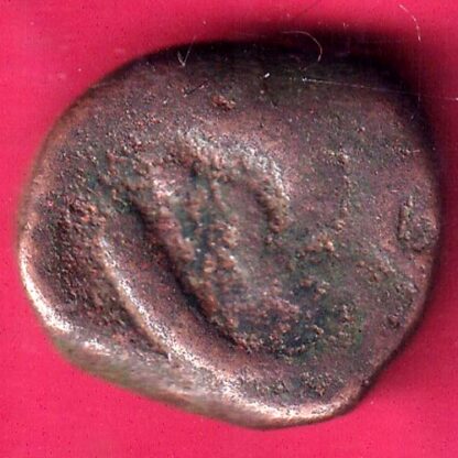 hyderabad feudatory lion facing right scarce elichpur mint scarce coin –F2044 - Image 2
