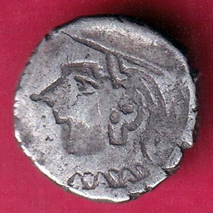 Ancient Western Kshatrap brockage Lakhi -  F2494 - Image 2