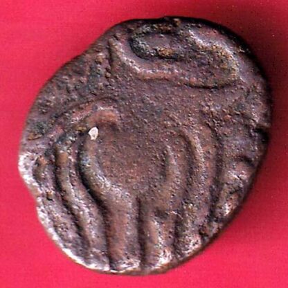 Pandya dynsty copper coin- FB9979