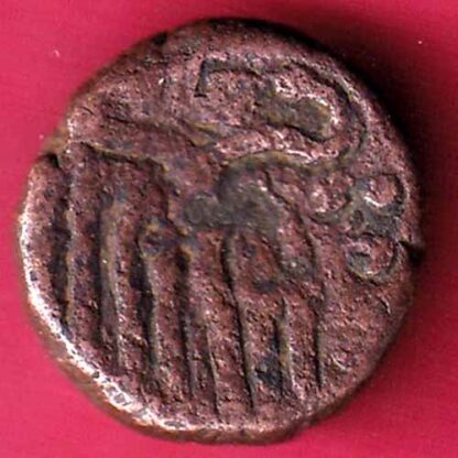 Pandya dynasty 1 Kasu copper coin  –FC1073 - Image 2