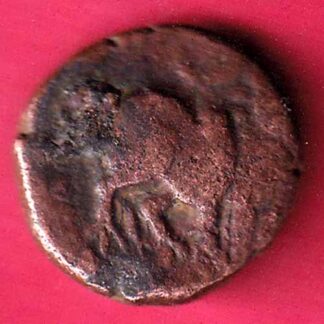 Pandya dynasty 1 Kasu copper coin  –FC1073