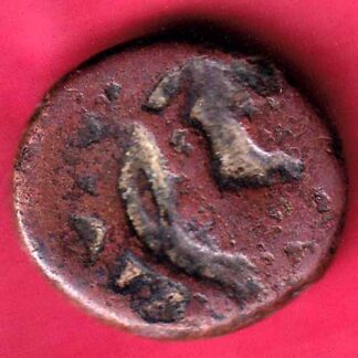 afghanistan falus copper coin - FC1494