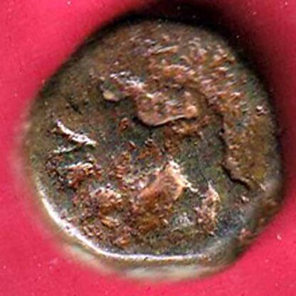 HYDERABAD STATE FED. ELICHPUR LEFT SIDE LION FACE ONE  PAISA COIN- F5070 - Image 2