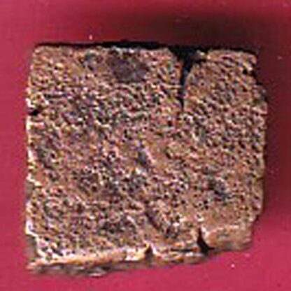 ancient cetral india copper punchmark ujjainy symbols on coin– FC2484 - Image 2