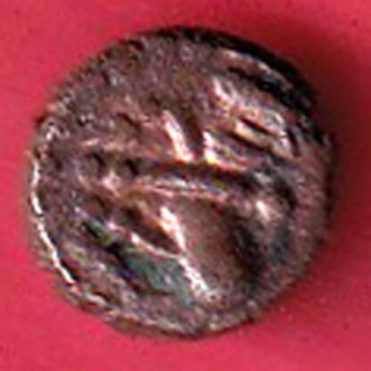 ANCIENT INDIA NAGAS OF PADMAVATI GANPATI NAGA RARE COIN - F8006 - Image 2