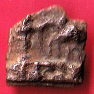 Ancient Sunga Dynasty Elephant & Rev arched hill copper Coin :- F8199