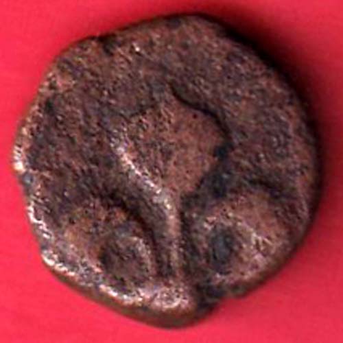 1 Doudou Pondichery – F8924 - Image 2