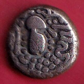 ANCIENT INDIA GADHAYA DYNASTY KING PORTRAIT COIN– FC8798