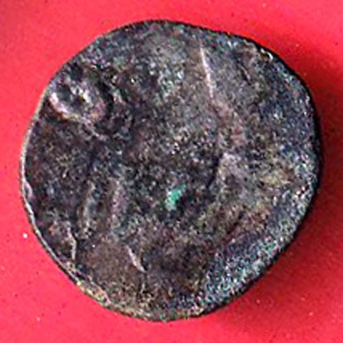 KADMBA OF BANVASI VERY NICE POTIN COIN- F9882