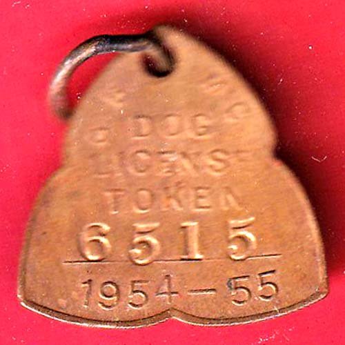 DOG LICENCE TOKEN :1954-55 DOG LICENCE TOKEN 6515– F9964 - Image 2